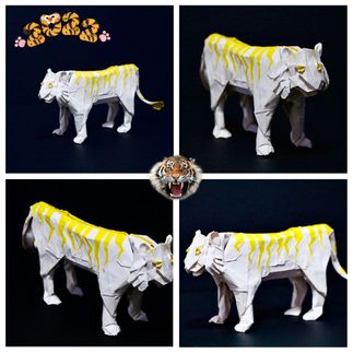 2022, Lunar Year of the Tiger🐯🐯